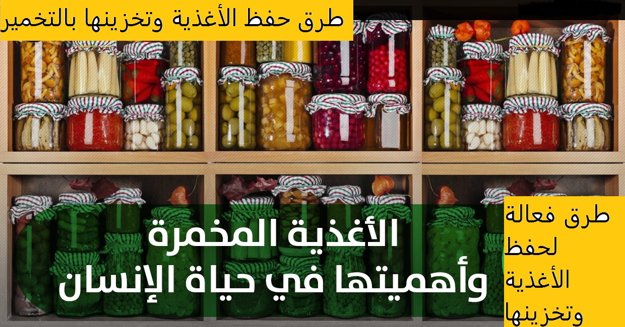 اهم طرق حفظ الطعام -خطوات لحفظ الطعام 4271 2