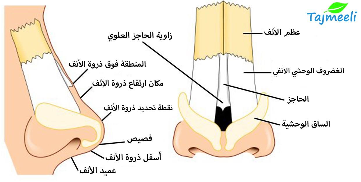 تجاربكم مع جهاز تقويم الانف 203