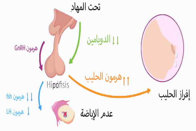 وش علامات ارتفاع هرمون الحليب 255 1